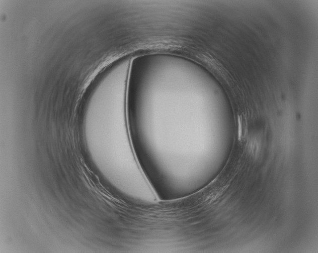 X0000054440723200507290925