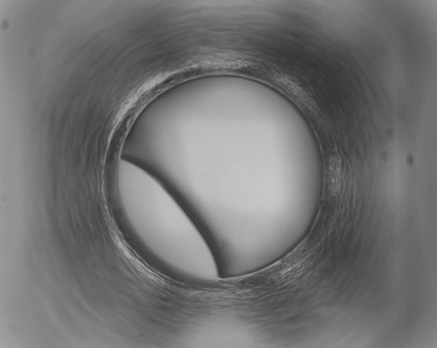 X0000054440726200507290925