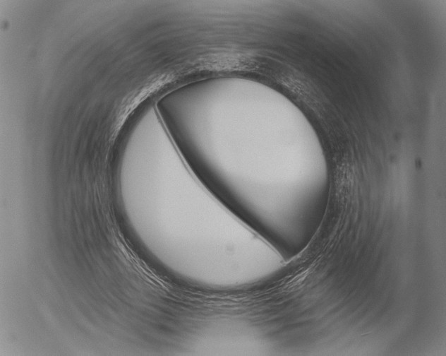 X0000054440727200507290925