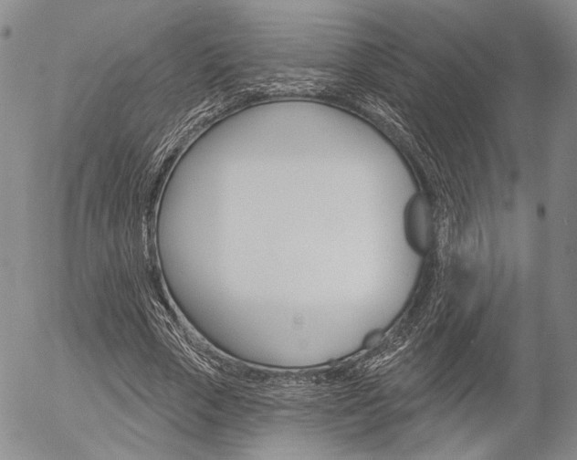 X0000054440729200507290925