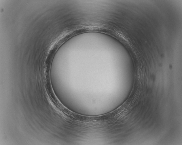 X0000054440730200507290925