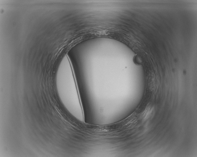 X0000054440747200507290926