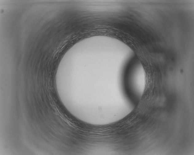 X0000054440750200507290926