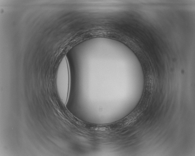 X0000054440751200507290926