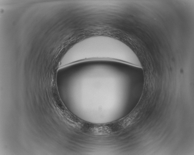 X0000054440752200507290926