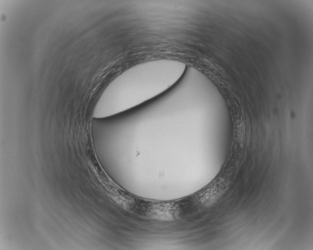 X0000054440757200507290926