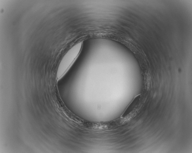X0000054440760200507290926