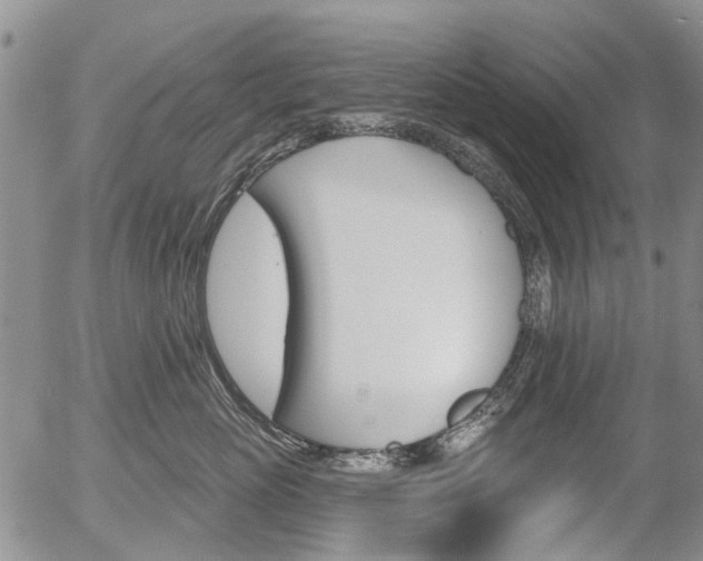 X0000054440765200507290926