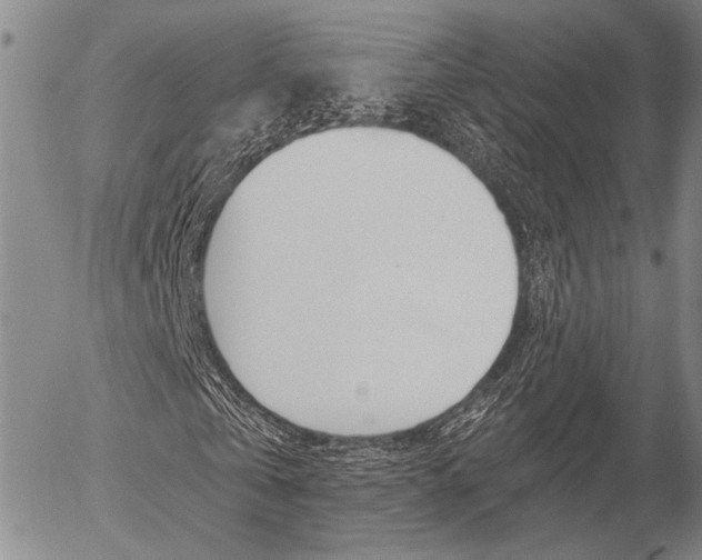 X0000054440769200507290925