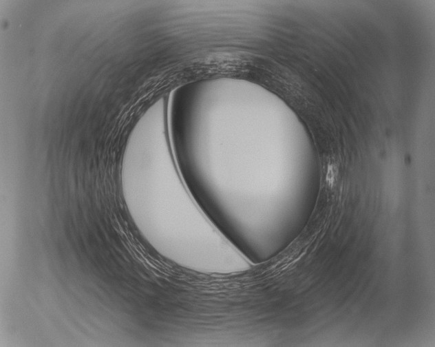 X0000054440771200507290925