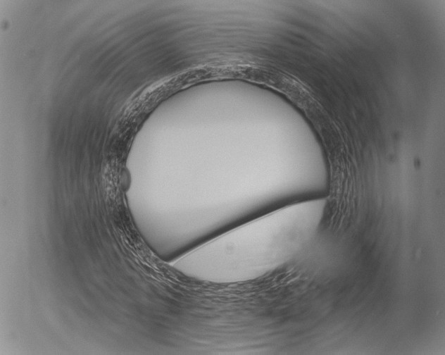 X0000054440773200507290925