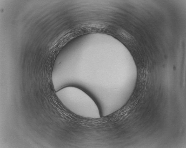 X0000054440774200507290925