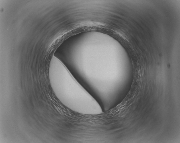 X0000054440775200507290925