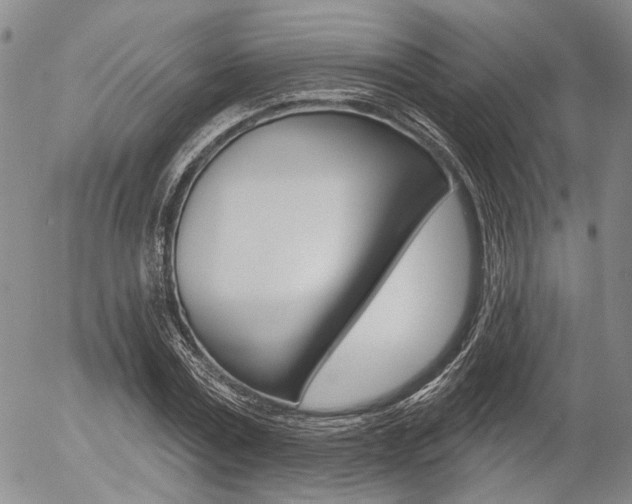 X0000054440779200507290925