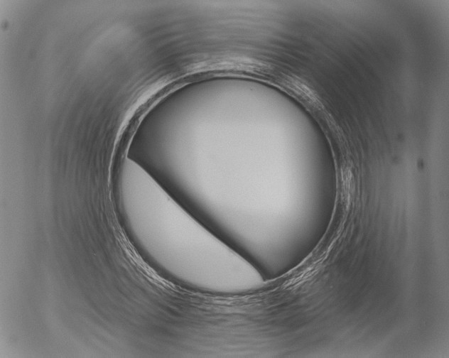 X0000054440780200507290925