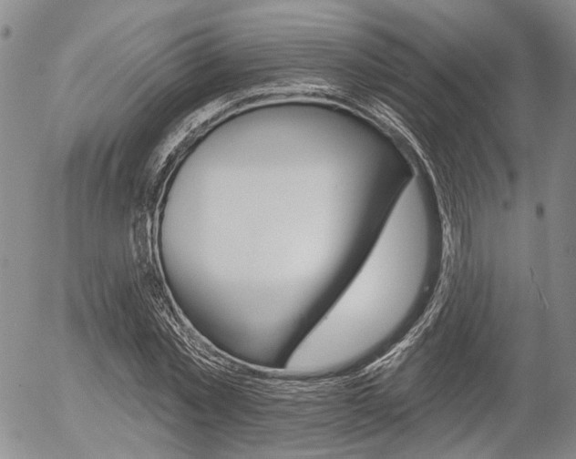 X0000054440781200507290925