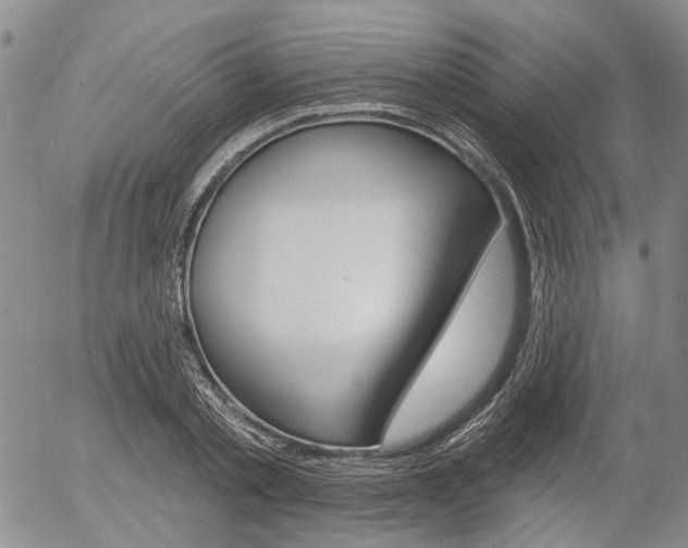 X0000054440789200507290925