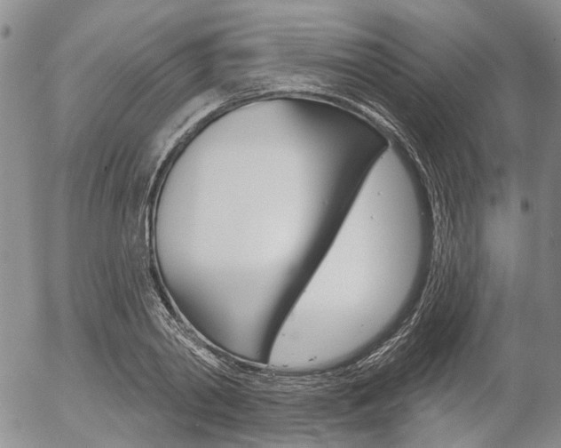 X0000054440790200507290925
