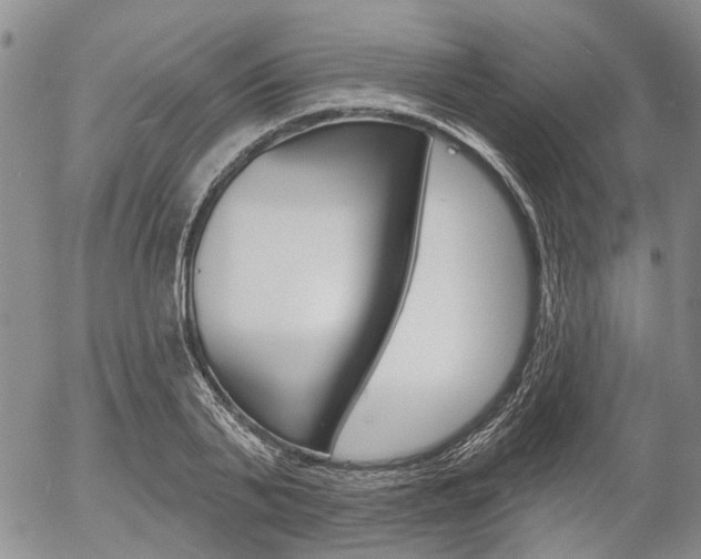 X0000054440791200507290925