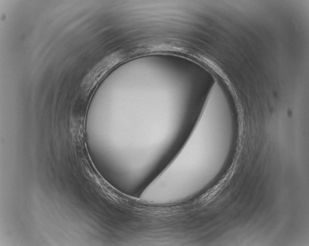 X0000054440793200507290925