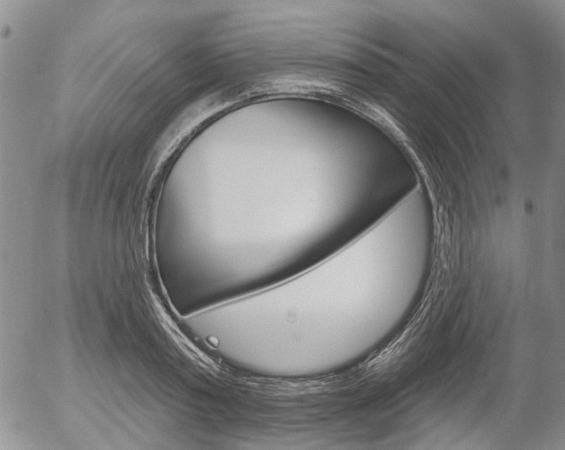 X0000054440795200507290925
