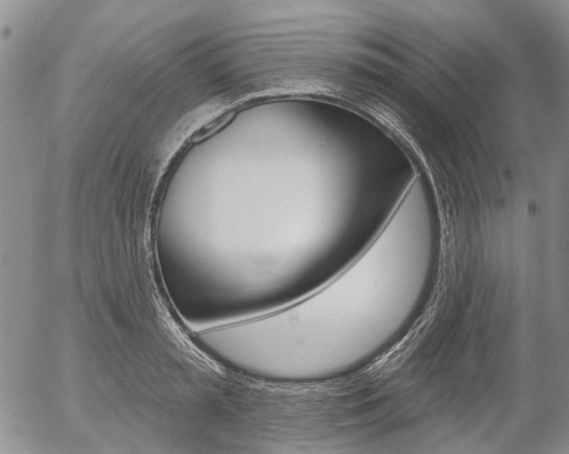 X0000054440797200507290925