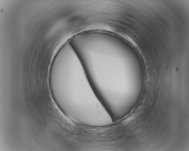X0000054440799200507290925