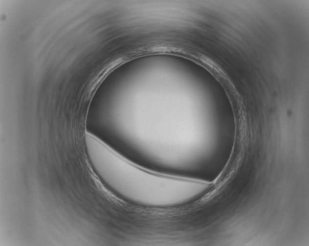 X0000054440801200507290925