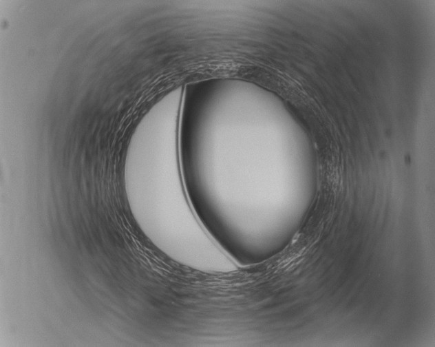X0000054440818200507290924