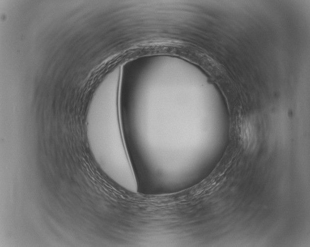 X0000054440821200507290924