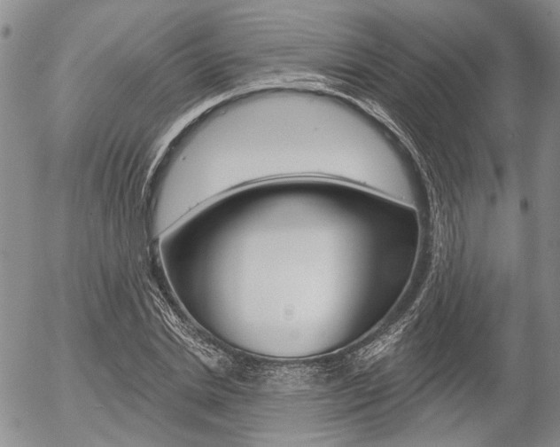 X0000054440830200507290924
