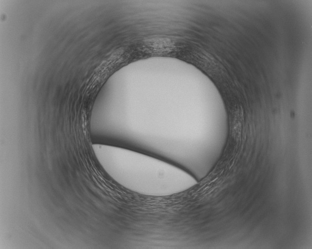 X0000054440866200507290924