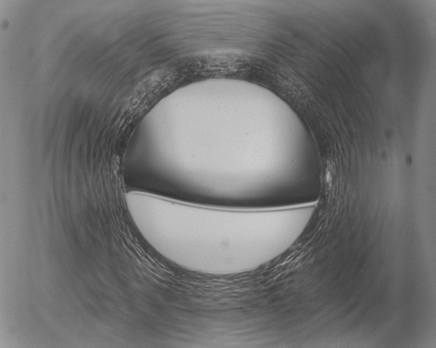 X0000054440867200507290924