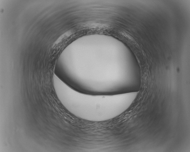 X0000054440869200507290924