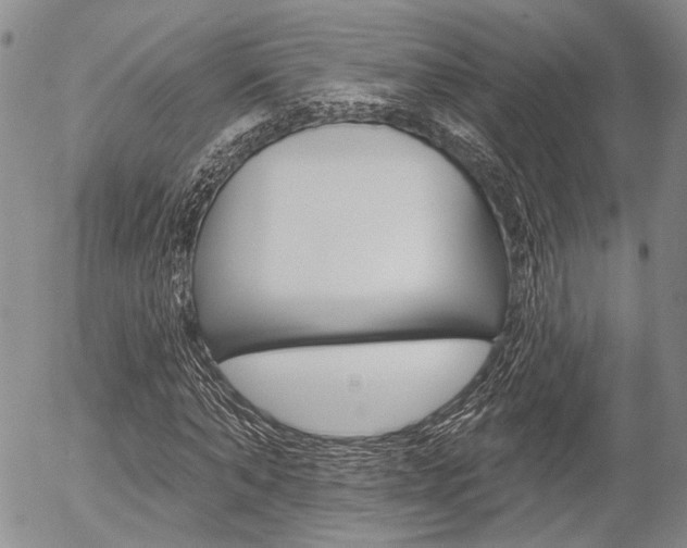 X0000054440870200507290924