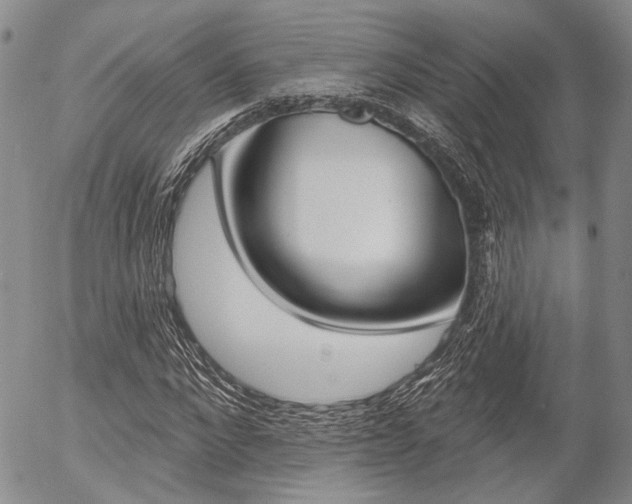 X0000054440872200507290924