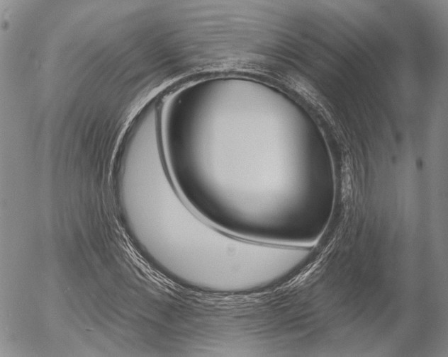 X0000054440876200507290923