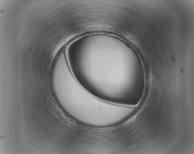 X0000054440877200507290923