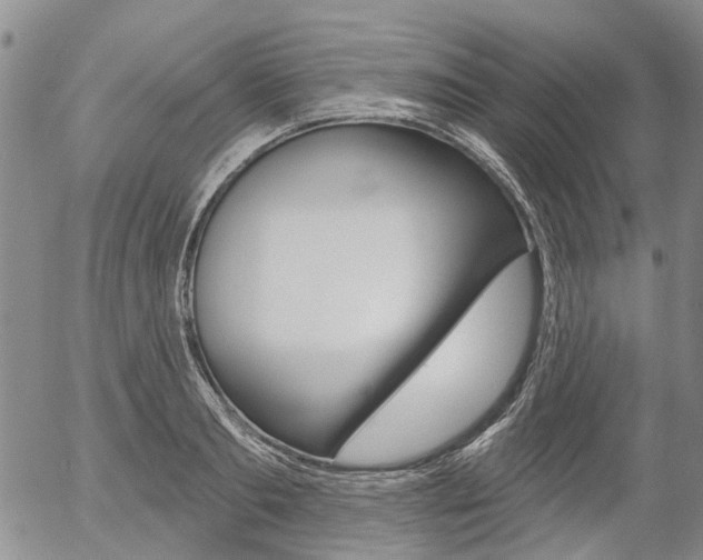 X0000054440893200507290923