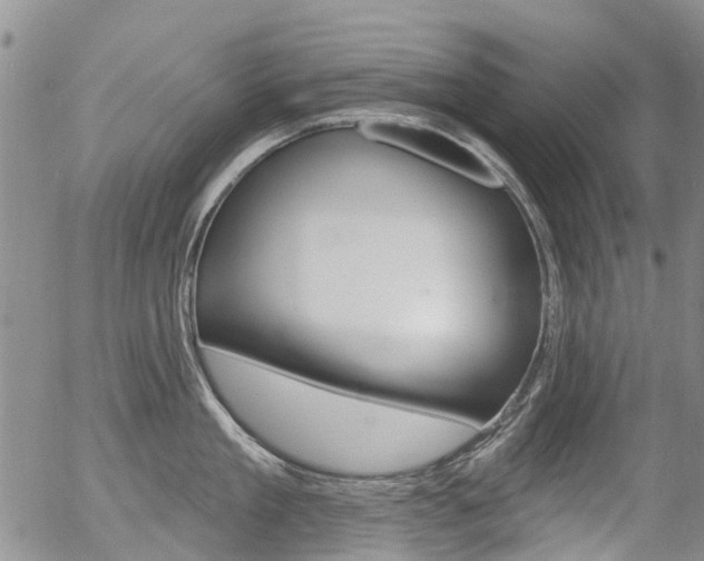 X0000054440909200507290923
