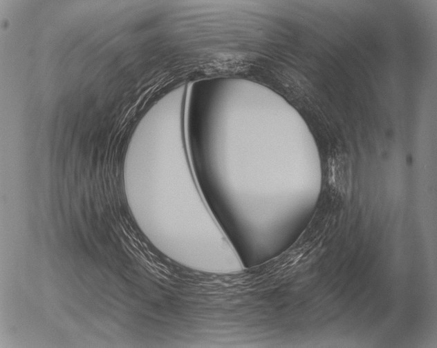 X0000054440915200507290922