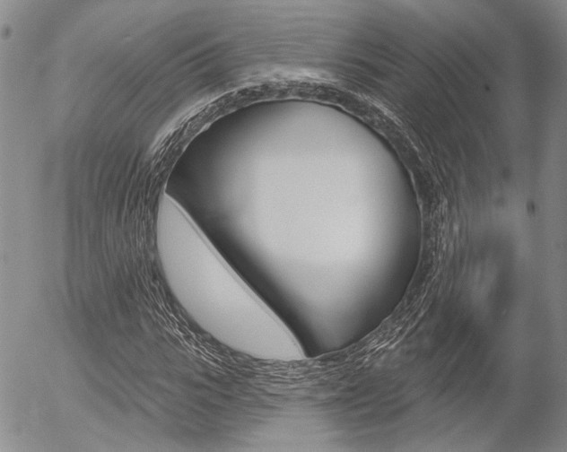 X0000054440919200507290922