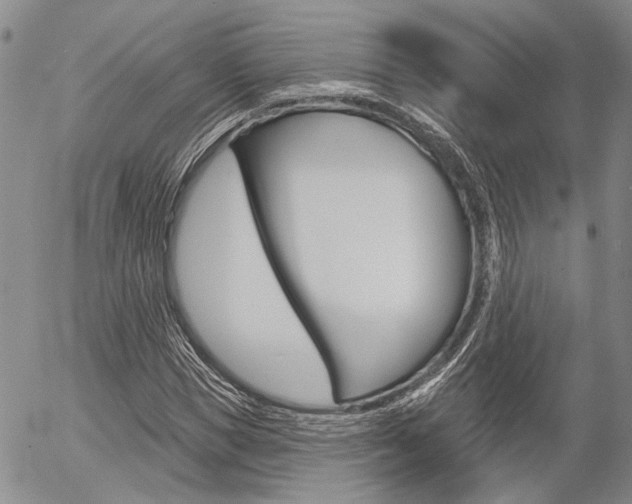 X0000054440921200507290922
