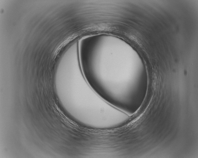 X0000054440922200507290922