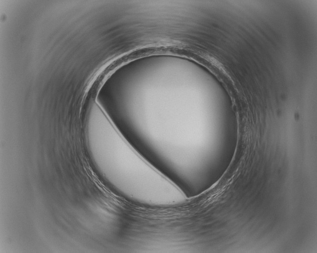 X0000054440927200507290922