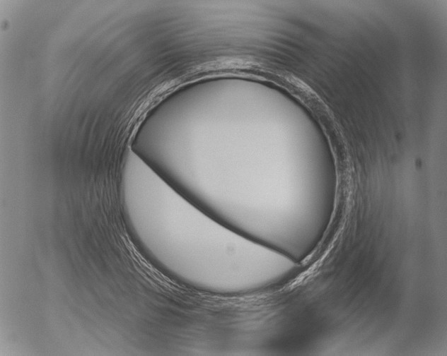 X0000054440929200507290922