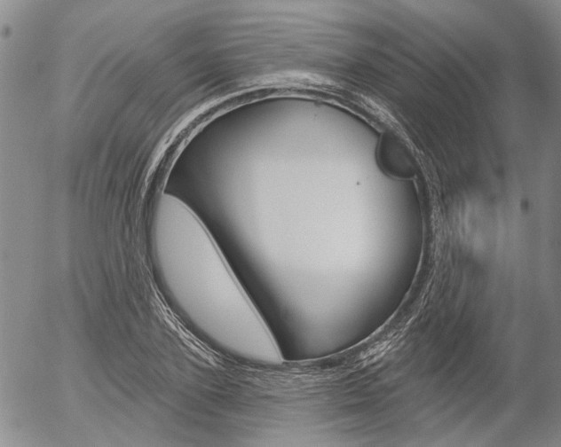 X0000054440931200507290922