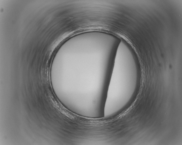 X0000054440933200507290922