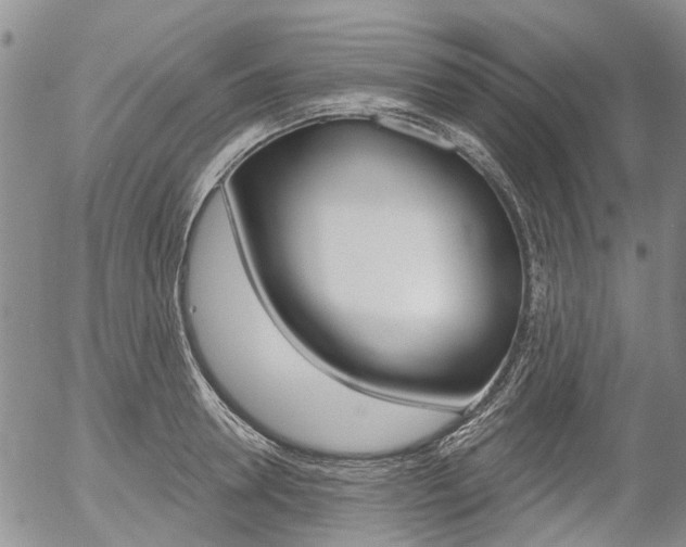 X0000054440946200507290923