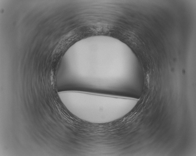 X0000054440963200507290922